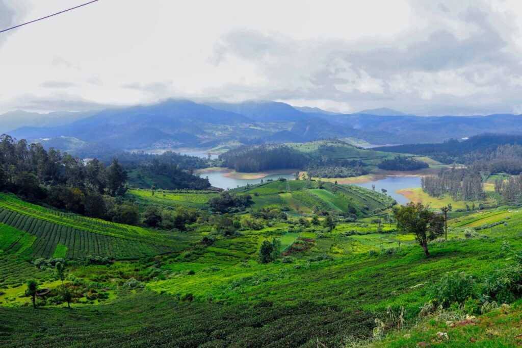 ooty-travel-guide-bangalore